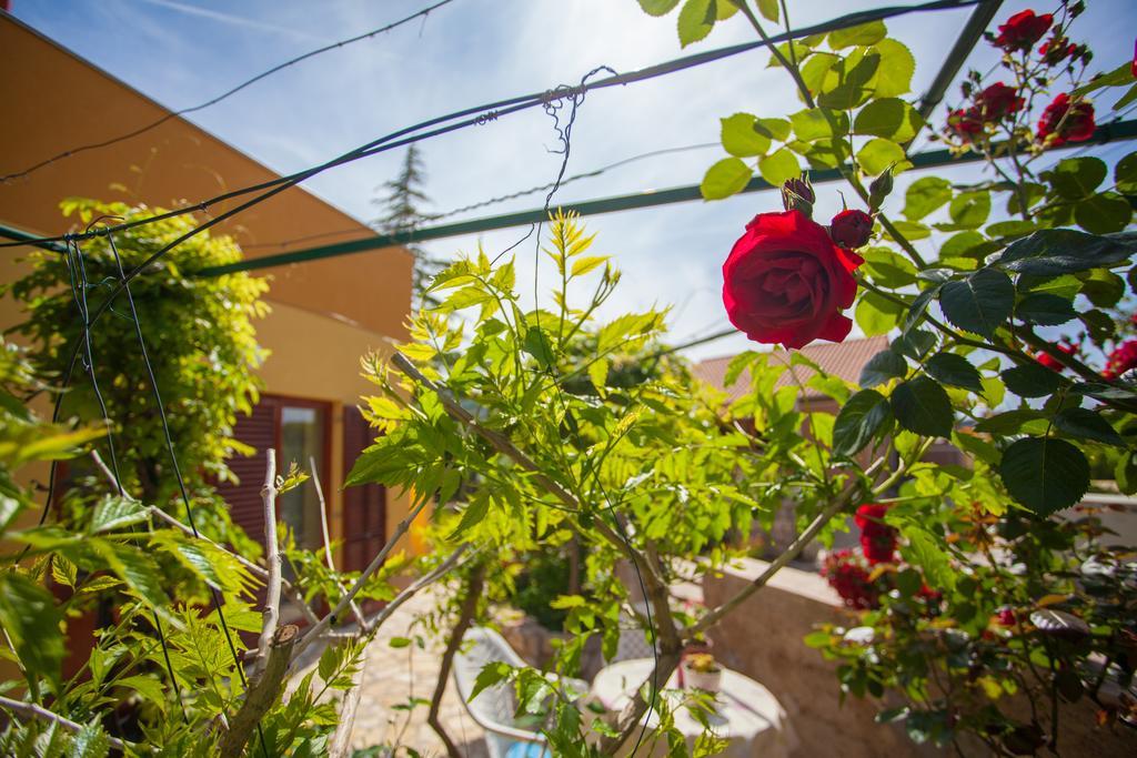 Apartment Dunja Đảo Đảo Cres Ngoại thất bức ảnh